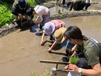 【京都水族館】年間パスポート会員さま限定の特別プログラム
「里山教室2025～田んぼで遊ぼう～」を開催
