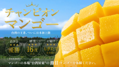 Makuake開始2日で支援金額100万円突破！糖度16度超えの甘さとジューシーさ♪台湾の恵みを存分に受けた“チャンピオンマンゴー”のもぎたてを最短5日でお届け！