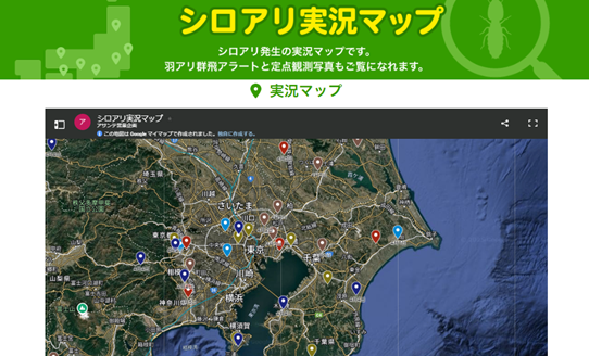 ヤマトシロアリの活動が活発になる時期が到来　ウェザーマップ×シロアリ対策のアサンテ　羽アリの発生状況や警戒レベルが分かるサイト「シロアリ実況マップに協力！」