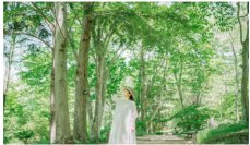 【六甲高山植物園】5月4日（日）は「みどりの日」新緑が見頃です