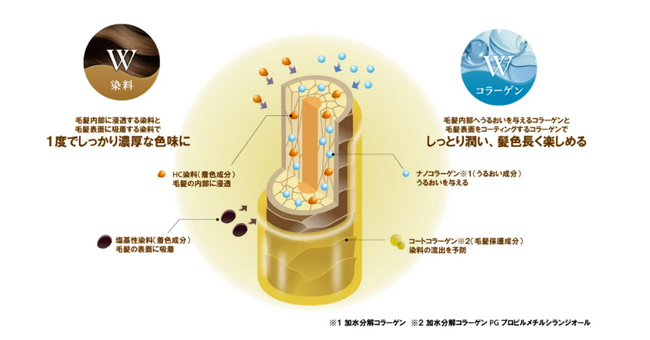 高岡早紀さん起用「サロン ド プロ」新ＣＭ　４月２０日（日）より全国にて放映開始！
