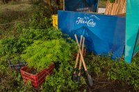 “飲むこと”が未来へのアクションに　地球に優しい一杯を　サステナブルなラム酒「フロール・デ・カーニャ」『EARTH MONTH サステナブル・カクテルフェア』を開催