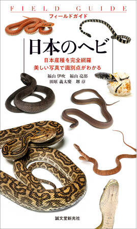 野外観察に必携！　日本のヘビ43種＋4亜種を網羅し、色彩・地域変異も多数収録。充実した検索表付きのハンディ版ヘビ図鑑が登場！