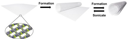 【横浜市立大学】２次元共役高分子を巻き上げる