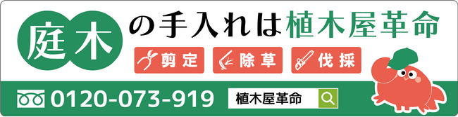 【植木のことなら植木屋革命！】ステッカーを愛車に貼って副収入が得られるマイカー広告「Cheer Drive」、「クイック・ガーデニング ドライブPRキャンペーン」参加者募集開始
