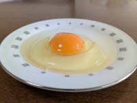 大分で養鶏業を行うカジワラファーム、有機JAS認証のオーガニック卵を4月14日に発売