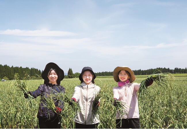 幻の国産＜有機にんにく王の芽＞。今だけ数量限定で予約受付中！ 