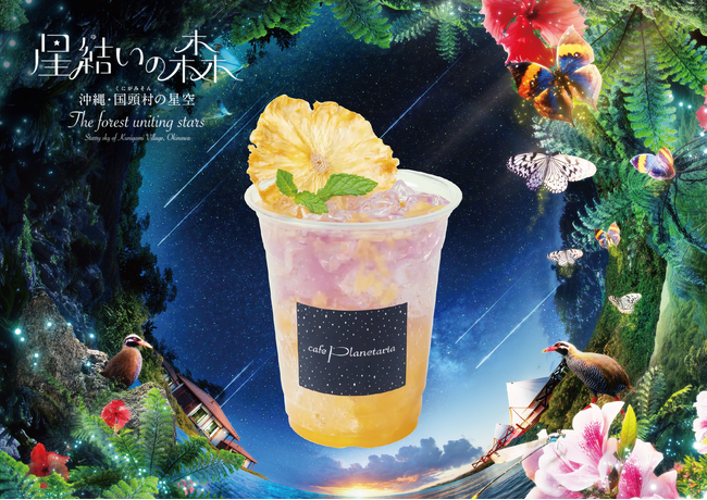 プラネタリウム作品『星結いの森 -沖縄・国頭村の星空-』コラボカフェドリンクが登場！
