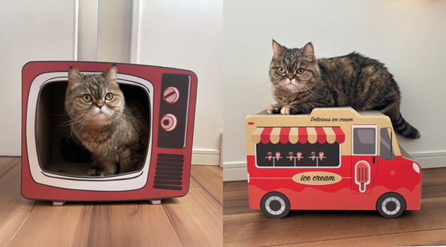 遊び心たっぷりなボックス型爪とぎが新登場！「猫の爪とぎ レトロテレビ」「猫の爪とぎ アイスクリームワゴン」