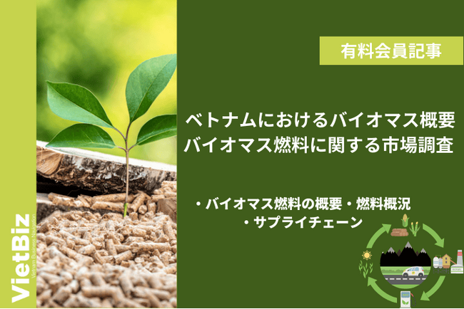 ベトナム市場調査レポート販売｜ベトナムにおけるバイオマス概要・バイオマス燃料に関する市場調査