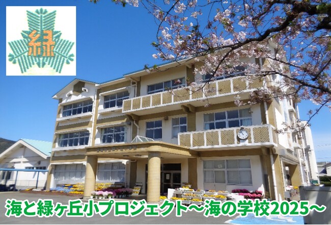 学校と連携した海洋教育プログラム「海と緑ケ丘小プロジェクト～海の学校2025～」がスタート！