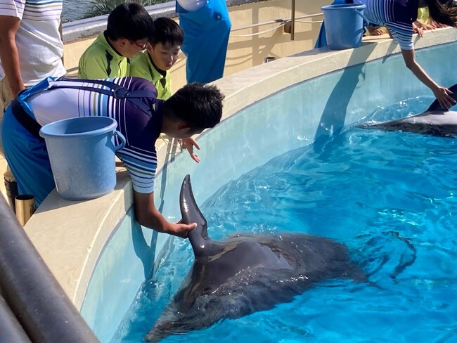 「にしてつキッズしごと体験スクール2025」楽しさいっぱいの54クラスを開催します!