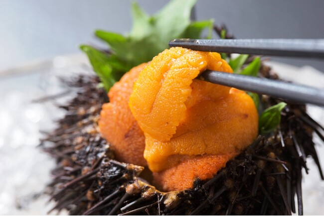 宮古市では６月から夏の味覚ウニ漁が解禁！休暇村陸中宮古では“【黄金の煌めき】三陸ウニざんまい会席　宿泊プラン”を6月1日より販売開始