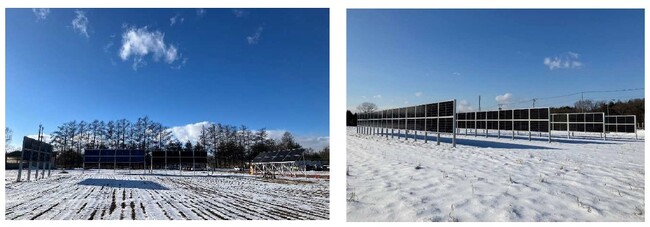 東急不動産と自然電力、営農型太陽光発電事業の新会社を設立