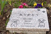 ペット共葬墓の需要増加　滋賀県5年で2倍に　創建350年のお寺が手がけた「ペットと入れる樹木葬」が人気　ペット供養と樹木葬説明会5月11日開催