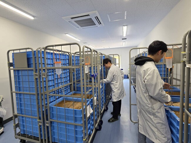 養殖魚のエサとなる昆虫のラボプラントを愛媛大学に新設