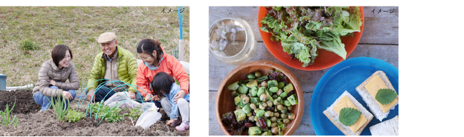 ～東急不動産のマンション居住者に農業体験プロジェクト～都市と地域をつなぐ「BRANZオーナーズファーム」開始