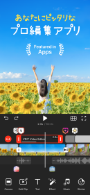 初心者でも簡単！プロのような動画編集