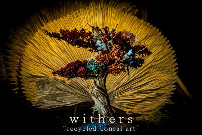 TAIZAN ─ 事業譲渡契約を締結し、再生盆栽ブランド「WITHERS」をグループ化 ─ TAIZANグループは、「過去・現在・未来」すべての時間軸を内包し、究極のサステナブルアート事業を始動