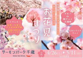 桜満開！花よりサーモン！サーモンパークでお花見まつり