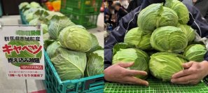 ＼地元生産者様のお野菜大放出！／　群馬県渋川市『上州・村の駅』　お得なお野菜イベントで、地域を元気に盛り上げます！『お野菜大放出祭』4月26日(土)～5月11日(日) 16日間開催