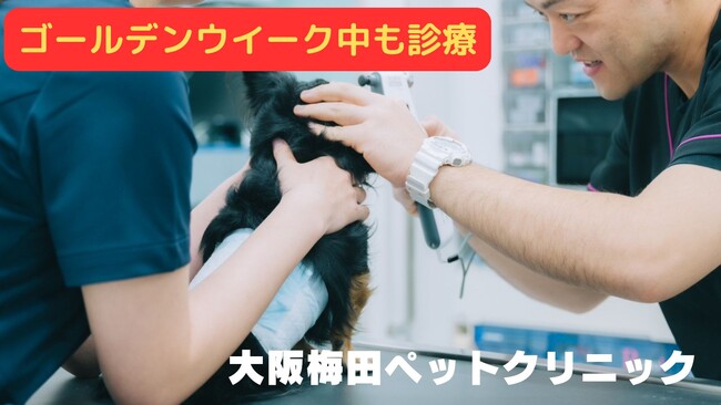 大阪梅田ペットクリニックはゴールデンウイークも診療！