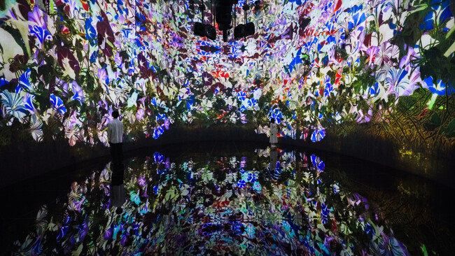 チームラボ、北海道・札幌 宮の森にオープンする美術館「J Art Foundation」にて、《教会跡に増殖する無量の生命》を5月2日(金) から展示。チケット発売中。