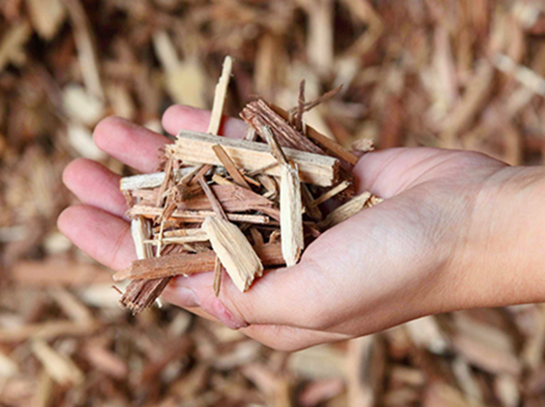 レンゴーと基本合意書締結、木質由来のバイオエタノール生産へ～持続可能な航空燃料SAFに建築廃材を活用～