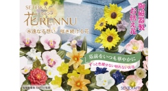 生花や造花に代わる新たな選択肢！半永久的に使える、陶器製の枯れない墓花「花RENNU（カレンヌ）」の新商品ヒマワリとトルコギキョウを7月1日に発売