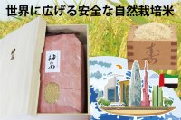 【自然の力で世界を健康に】ドバイ展示会への挑戦　4月2日にクラウドファンディングを開始～5月19日