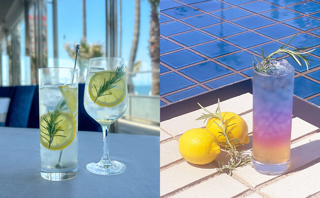 新緑が映える初夏の海辺を満喫！季節限定ドリンクを鎌倉から約10分の湘南リゾート【リビエラ逗子マリーナ】で4/26から販売開始