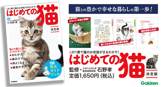 【初心者必見！】猫を飼いたい人、これから飼う人へ　お世話の基本から最新情報までをまるごと網羅した『はじめての猫　決定版』発売