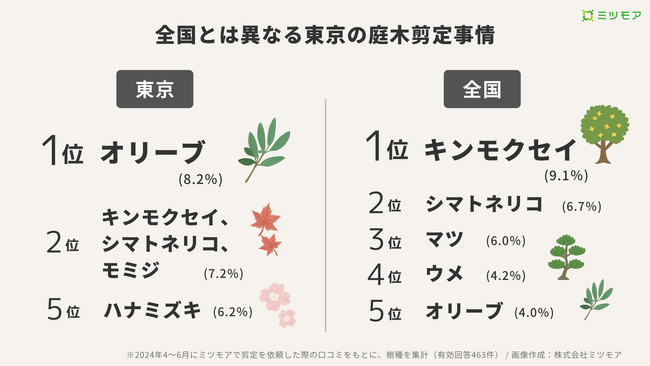 東京はオリーブが全国傾向を覆し1位に！春の庭木剪定ランキング【4～6月全国口コミ調査】