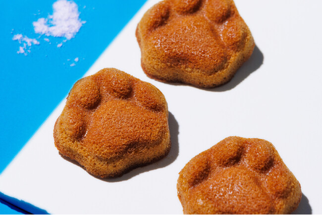 【博多土産】【期間限定】　夏にぴったり！黒糖×バターが生み出す“コク旨スイーツ”に、雪塩で塩味を効かせて。「KOKUNEKO(コクネコ)」から、新作フィナンシェを発売！