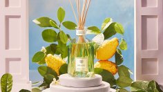 ドットール・ヴラニエス、メディチ家の庭園から着想を得たディフューザーの新たな香り「LIMONE CEDRATO」を4月24日(木)発売