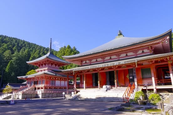 【4/24より】「京都エコノミックガーデニング補助金」の申請サポートを開始します！【助成金なう】