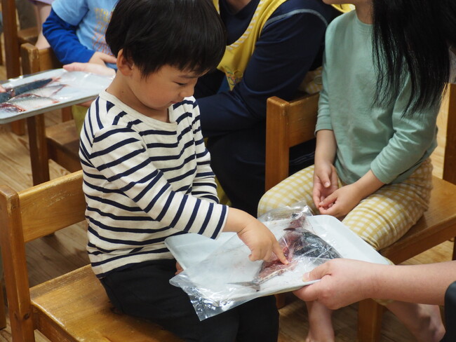 毎月 19 日は食育の日!　ライクキッズの園児が「命をいただくこと」の大切さを五感で体験!　魚を見て・触れて・食べる「魚が食卓に届くまでを学ぶイベント」実施