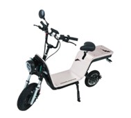 大阪国際（伊丹）空港で「EVバイクシェアGOGO」サービスの実証実験を開始～環境に優しい移動手段をご提供！ぜひ新しいモビリティサービスを体験してください！～