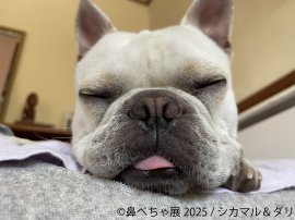 展示作品1 展示作品1