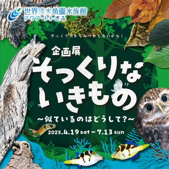 企画展『そっくりないきもの ~似ているのはどうして?~』を開催