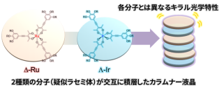 【日本大学】液晶内部のキラル構造を解明～擬ラセミ体を利用したキラル光学材料へ～