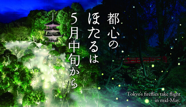 【ホテル椿山荘東京】～初飛翔は5月中旬の見込み～ 4月24日（木）に蛍の幼虫が土に上陸！初夏の風物詩が始動