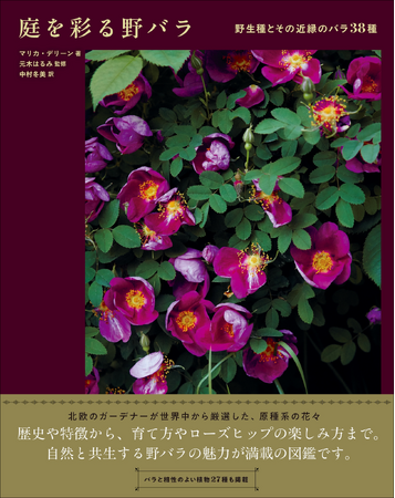 【野生種とその近縁のバラ38種】歴史や特徴、生育方法などバラの魅力が満載！　『庭を彩る野バラ』5月発売