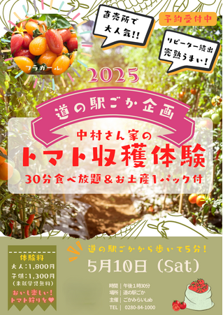 【茨城県五霞町】ふるさと納税で特別な体験を 人気のトマト収穫体験が返礼品に