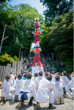 天高く人が連なる迫力の演舞・春の今治を彩る伝統芸能「継ぎ獅子」　５月の今治地方春祭りで披露！