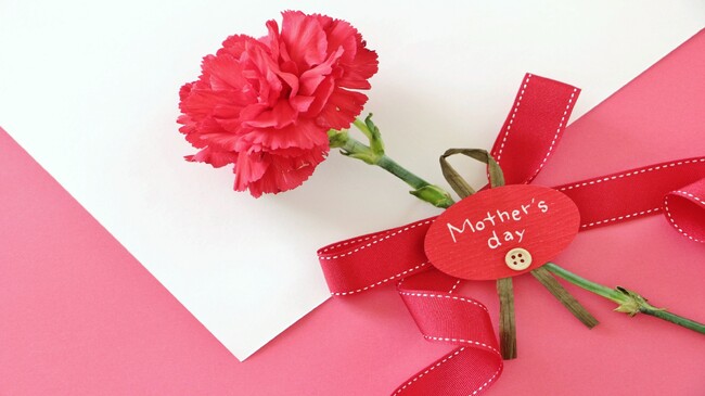 【奥湯河原・山翠楼 SANSUIROU】プチアメニティとカーネーションの特典付！「母の日」におススメプラン販売中