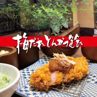 創業60余年のとんかつ専門店「かつ吉」の夏季限定商品「特製梅だれとんかつ定食」を5月1日(木)より販売開始！