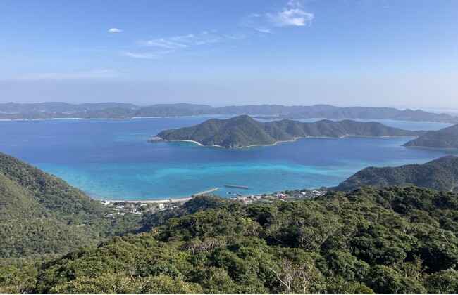 『SINRA』カーボンクレジット創出地に鹿児島県龍郷町（奄美大島）が新たに参画