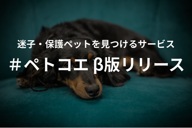迷子・保護ペットの情報をつなぐサービス「#ペトコエ」β版提供開始