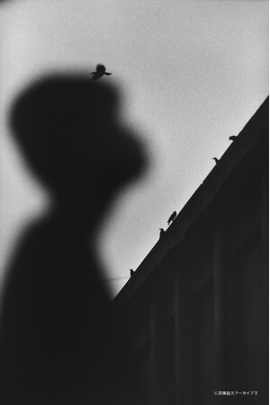 フジフイルム スクエア 写真歴史博物館 企画写真展　深瀬昌久写真展「洋子／遊戯」